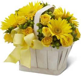 Endless Sunshine Basket<br><b>FREE DELIVERY from Flowers All Over.com 